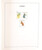 Kavel 4704 (313)
