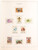 Kavel 3296 (35)