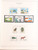 Kavel 3296 (46)