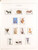 Kavel 3296 (57)