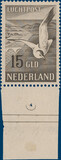 Lot 4398