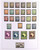 Kavel 3386 (15)