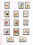 Kavel 3384 (26)