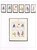 Kavel 3384 (35)