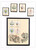 Kavel 3384 (39)