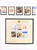 Kavel 3384 (49)