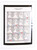 Kavel 3384 (80)
