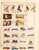 Kavel 3003 (62)