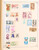 Kavel 3003 (307)
