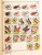 Kavel 3003 (383)