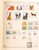 Kavel 3003 (1021)