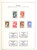 Kavel 3245 (50)