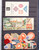 Kavel 3093 (61)