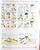 Kavel 3204 (87)