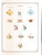 Lot 3426 (160)