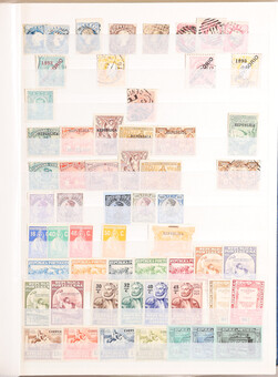 Kavel 3044
