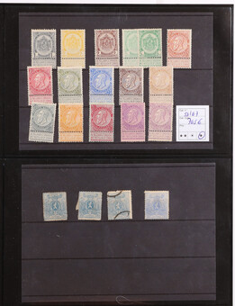 Kavel 3136