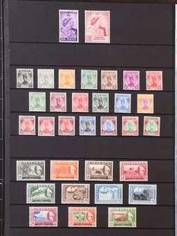 Lot 3307