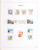 Kavel 3435 (126)