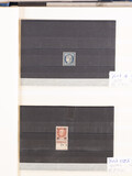Lot 3169