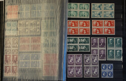 Kavel 3196