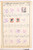 Kavel 1621 (546)