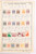 Kavel 1621 (854)