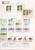Lot 3262 (37)