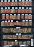 Lot 1675