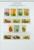 Kavel 1652 (1015)