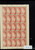 Kavel 3451 (22)