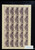 Kavel 3451 (23)