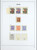 Kavel 3423 (49)