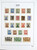 Kavel 3423 (300)