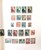Kavel 2083 (15)