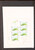 Kavel 2113 (326)