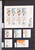Kavel 2113 (339)