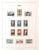 Kavel 2155 (63)