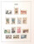 Kavel 2155 (77)