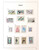 Kavel 2155 (88)