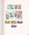 Kavel 2262 (211)