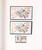 Kavel 2262 (558)