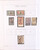 Lot 2304 (20)