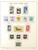 Kavel 2331 (64)