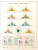 Kavel 2331 (66)