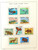 Kavel 2331 (123)