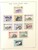 Kavel 2331 (146)