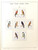 Kavel 2331 (199)