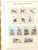 Kavel 2331 (260)