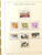 Kavel 2331 (262)